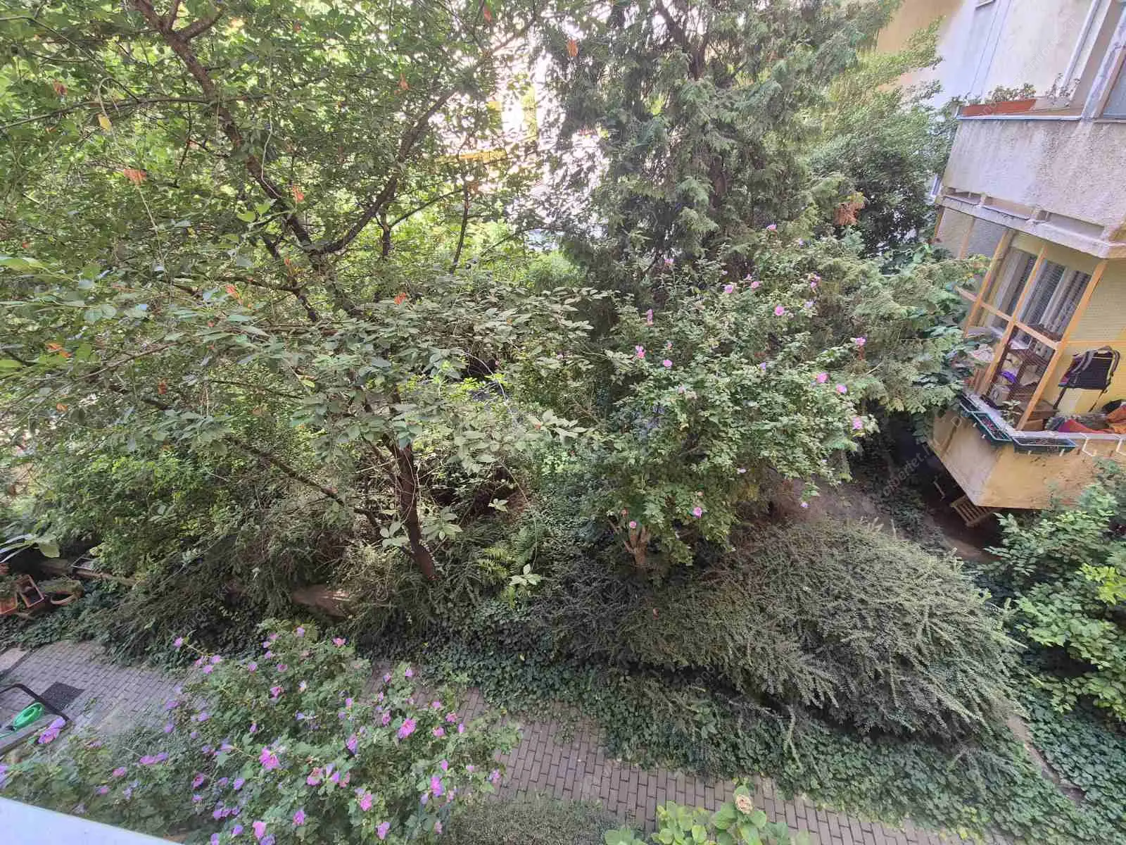 Kiadó albérlet 210000 Ft/hó áron: Budapest, XI. kerület  Lágymányosi utca. Mérete: 55 nm, 2 szobás | Alberlet.hu - 6532736