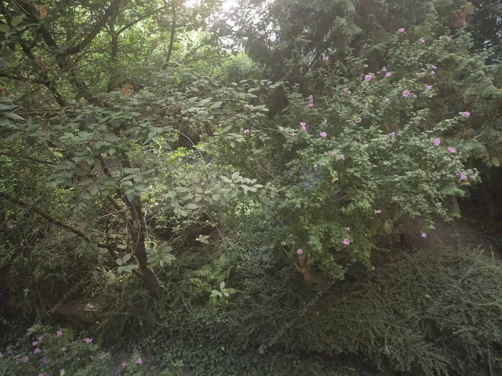 Kiadó albérlet 210000 Ft/hó áron: Budapest, XI. kerület  Lágymányosi utca. Mérete: 55 nm, 2 szobás | Alberlet.hu - 6532737