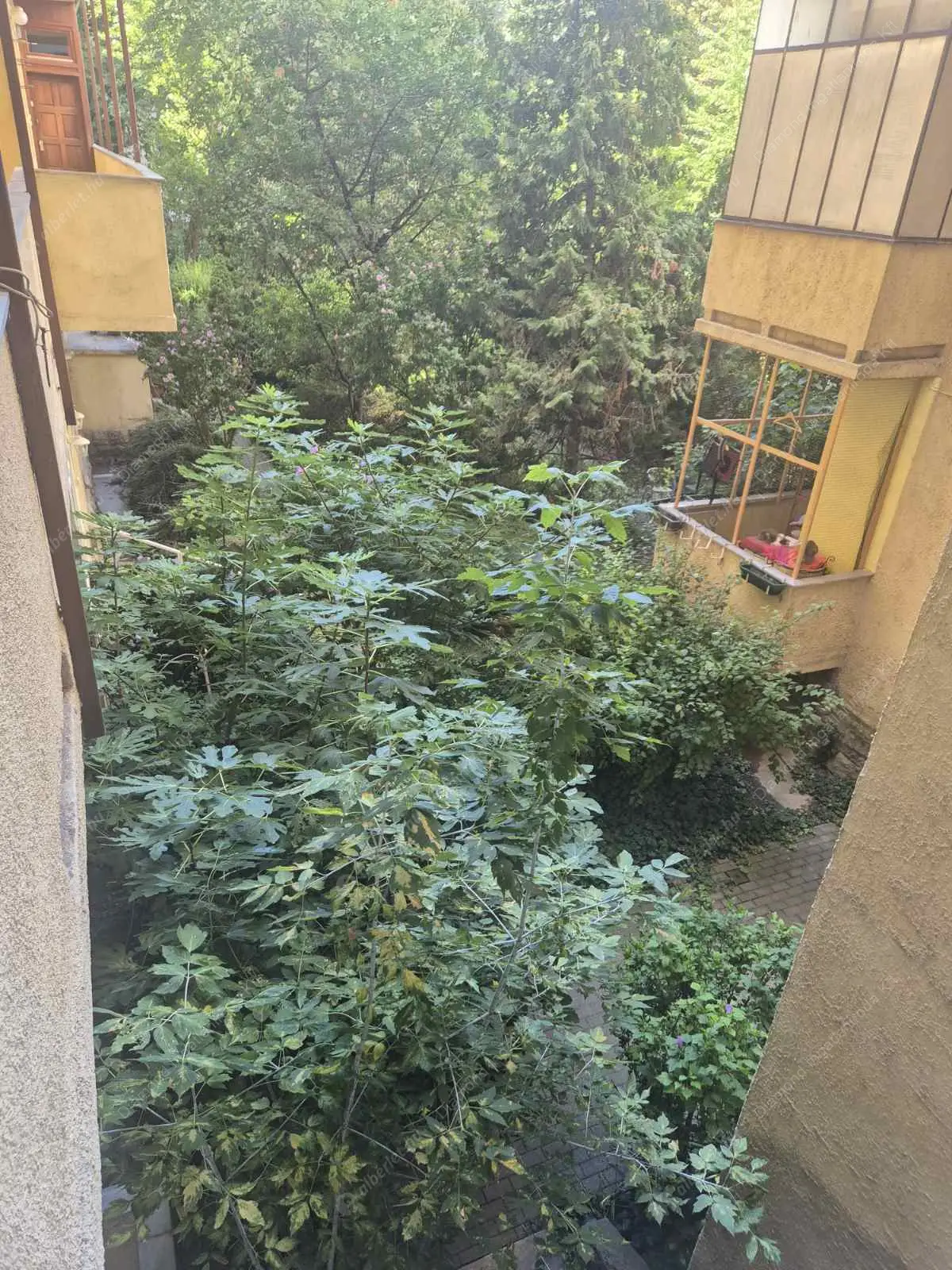 Kiadó albérlet 210000 Ft/hó áron: Budapest, XI. kerület  Lágymányosi utca. Mérete: 55 nm, 2 szobás | Alberlet.hu - 6532799