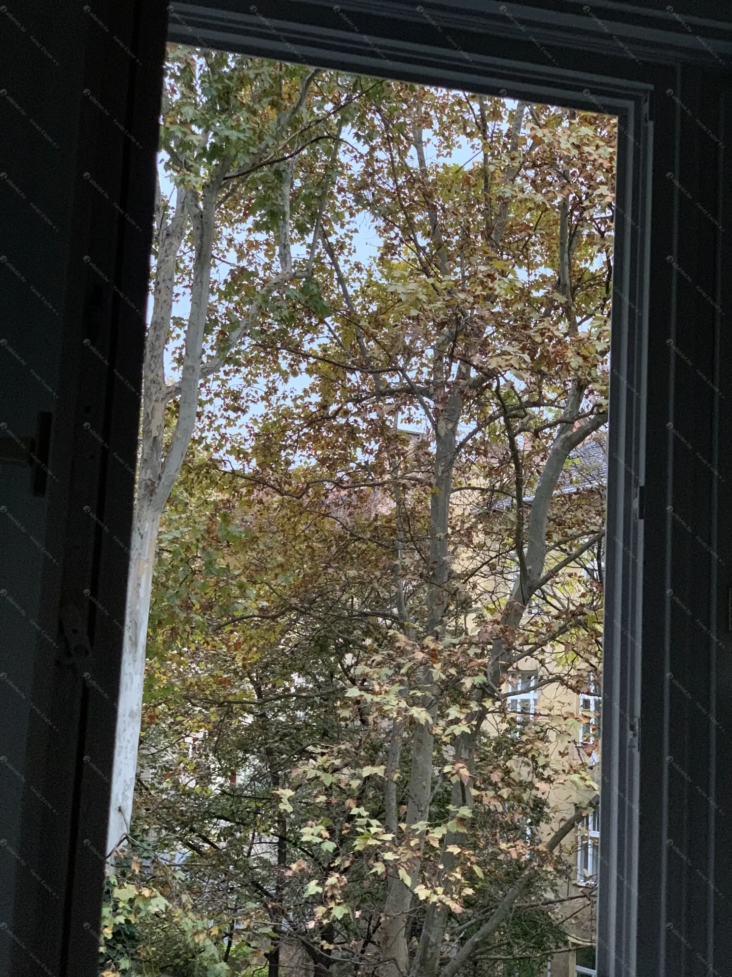 Kiadó albérlet 450000 Ft/hó áron: Budapest, XI. kerület  Lágymányosi utca. Mérete: 80 nm, 2 szobás | Alberlet.hu - 6580098