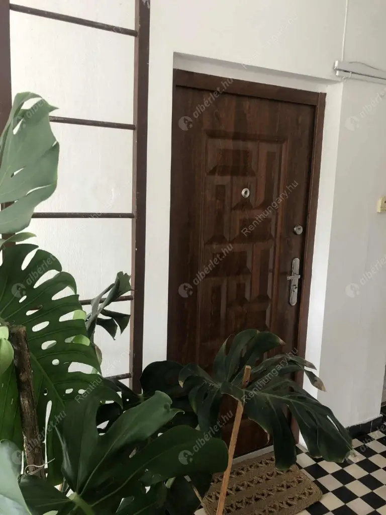 Kiadó albérlet 280000 Ft/hó áron: Budapest, XI. kerület  Ménesi út. Mérete: 65 nm, 2 szobás | Alberlet.hu - 6558017