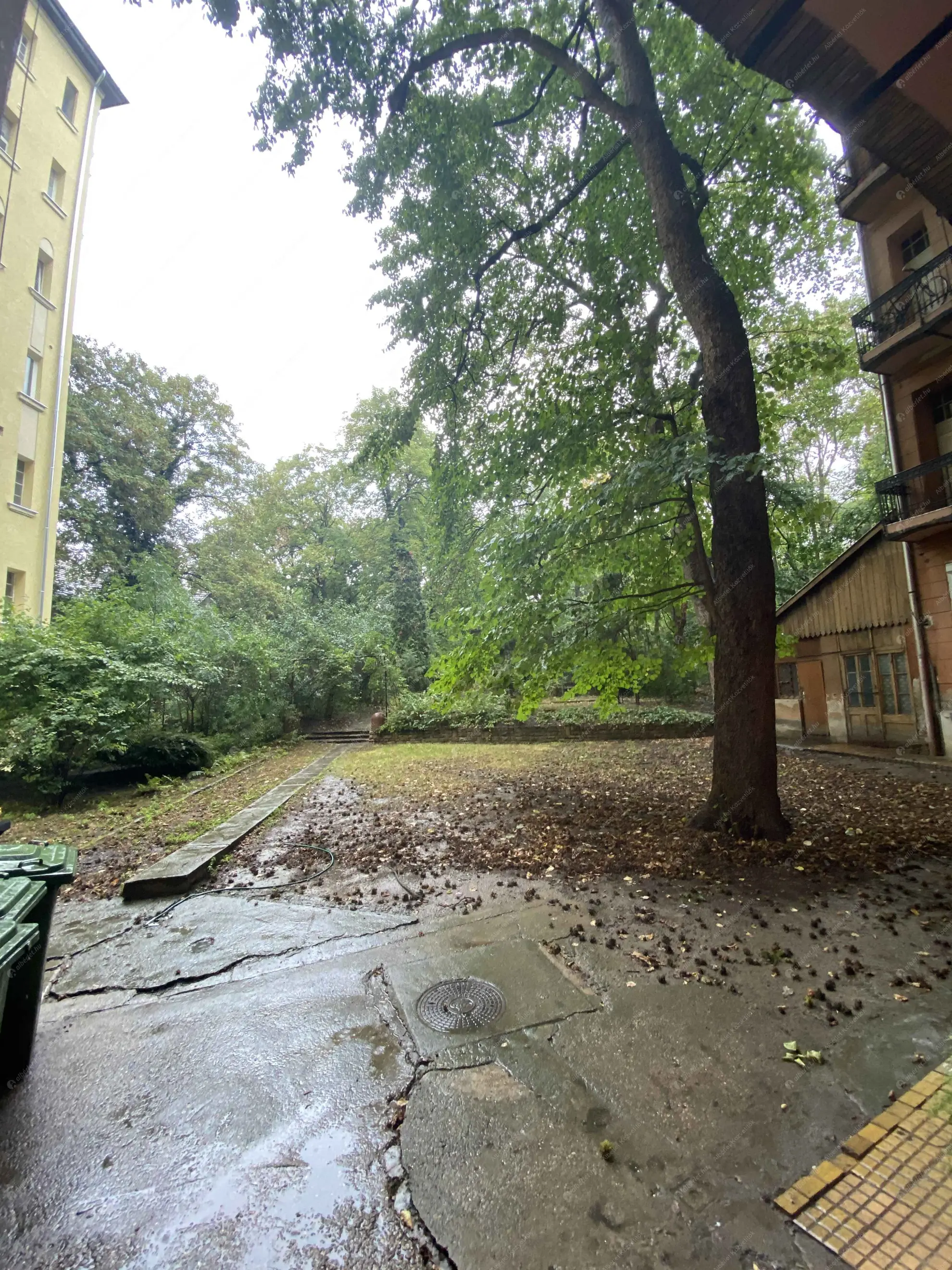 Kiadó albérlet 180000 Ft/hó áron: Budapest, XI. kerület  Móricz Zsigmond körtér. Mérete: 25 nm, 1 szobás | Alberlet.hu - 6585863