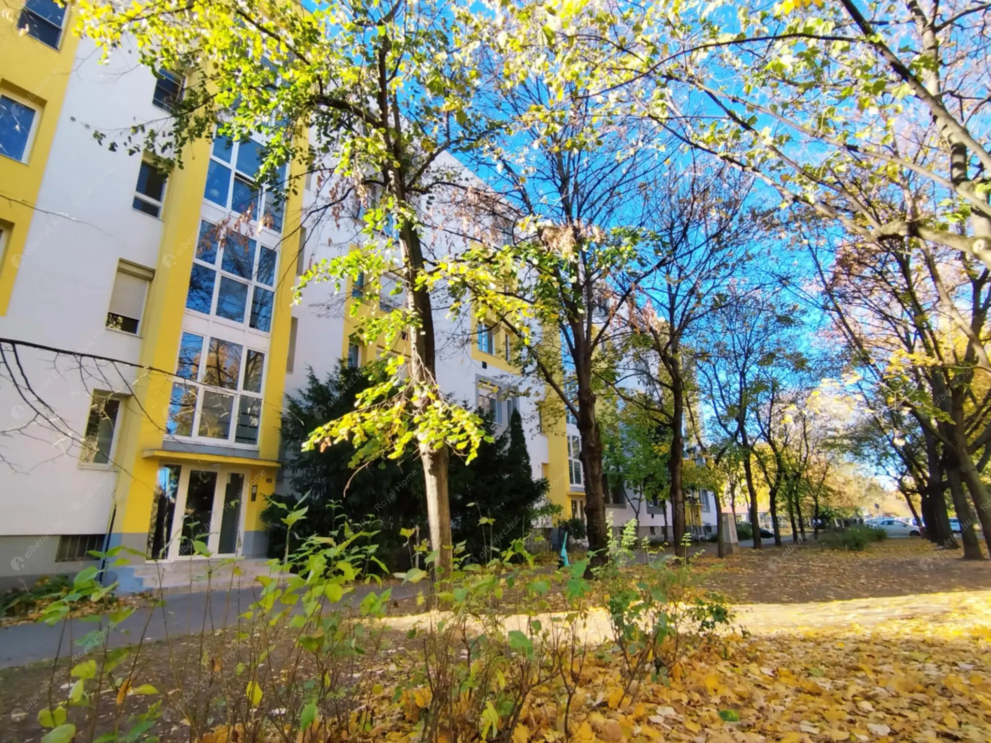 Kiadó albérlet 229000 Ft/hó áron: Budapest, XI. kerület  Nándorfejérvári út. Mérete: 56 nm, 2 szobás | Alberlet.hu - 6572950