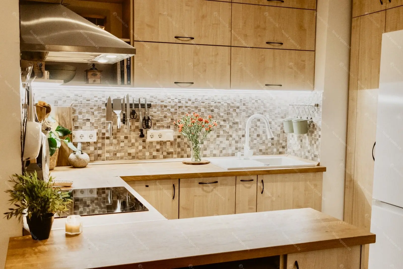 Kiadó albérlet 400000 Ft/hó áron: Budapest, XI. kerület  Nándorfejérvári út. Mérete: 67 nm, 2 szobás | Alberlet.hu - 6693219