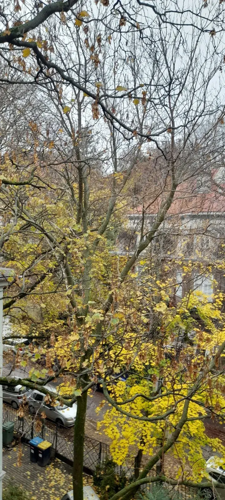 Kiadó albérlet 260000 Ft/hó áron: Budapest, XI. kerület  Orlay utca. Mérete: 54 nm, 2 szobás | Alberlet.hu - 6676531