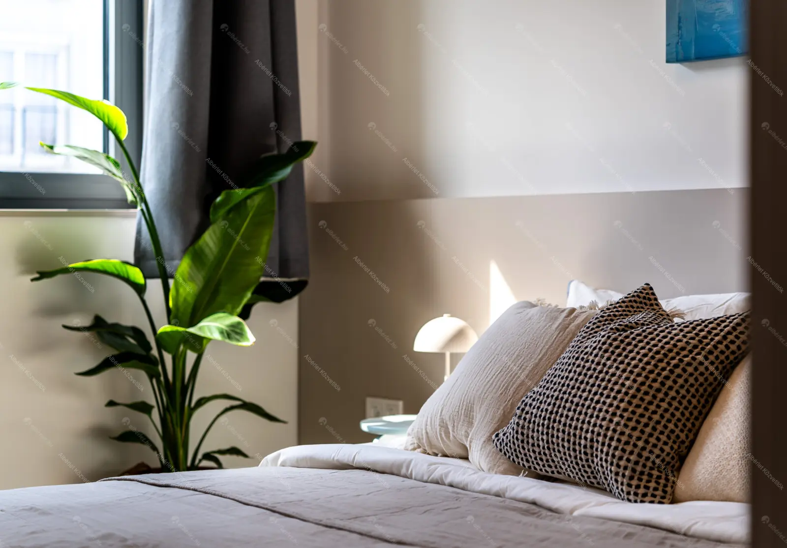 Kiadó albérlet 275000 Ft/hó áron: Budapest, XI. kerület  Prielle Kornélia utca. Mérete: 36 nm, 1 szobás | Alberlet.hu - 6669364