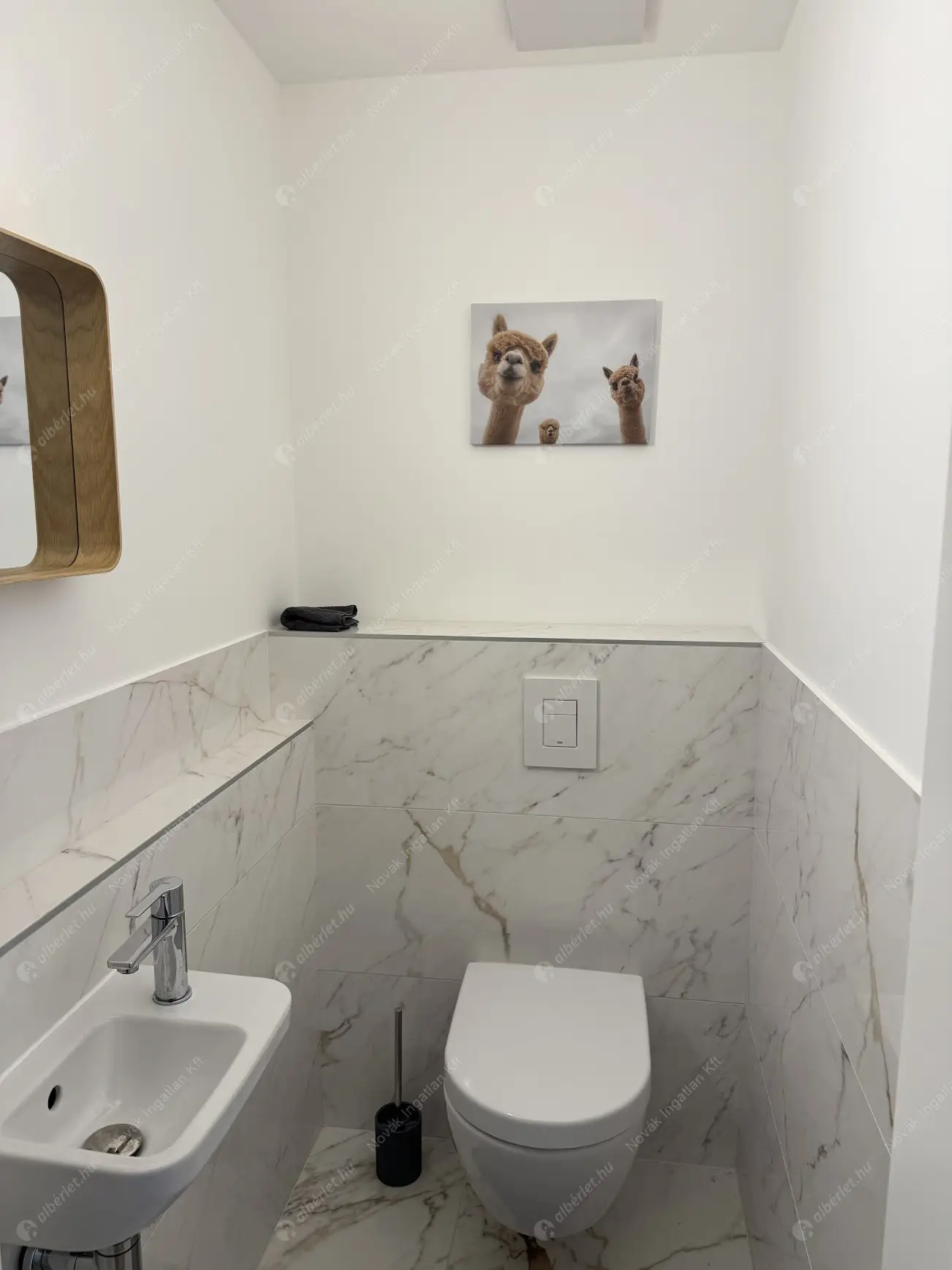 Kiadó albérlet 300000 Ft/hó áron: Budapest, XI. kerület  Rupphegyi út. Mérete: 46 nm, 1 szobás | Alberlet.hu - 6469246