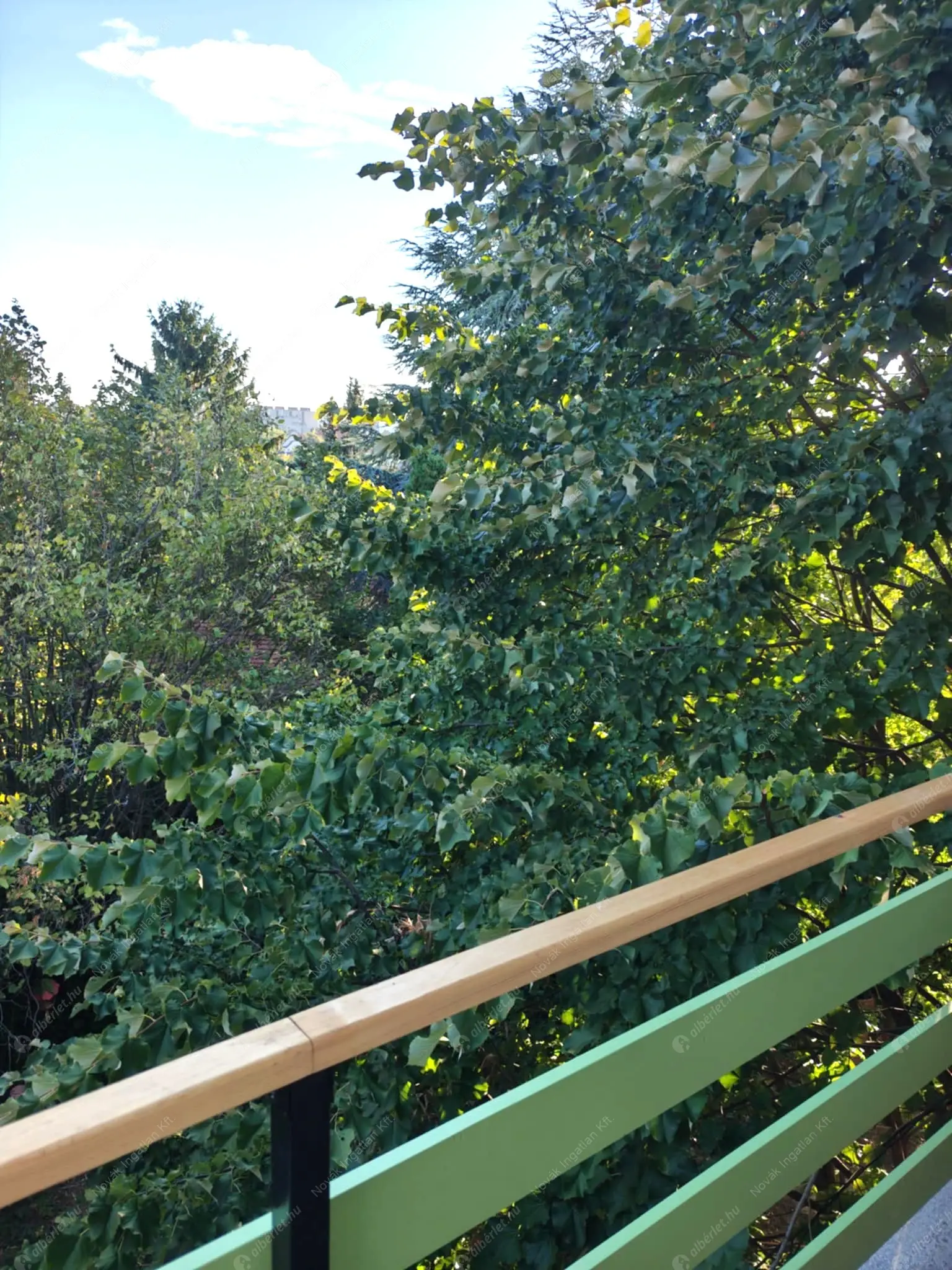 Kiadó albérlet 270000 Ft/hó áron: Budapest, XI. kerület  sasad köz . Mérete: 56 nm, 2 szobás | Alberlet.hu - 6572065