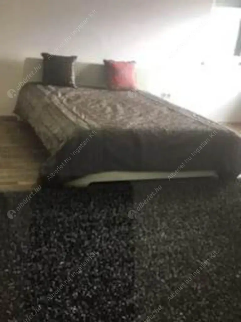 Kiadó albérlet 1200000 Ft/hó áron: Budapest, XI. kerület  Sasadi út. Mérete: 400 nm, 5 szobás | Alberlet.hu - 6518837