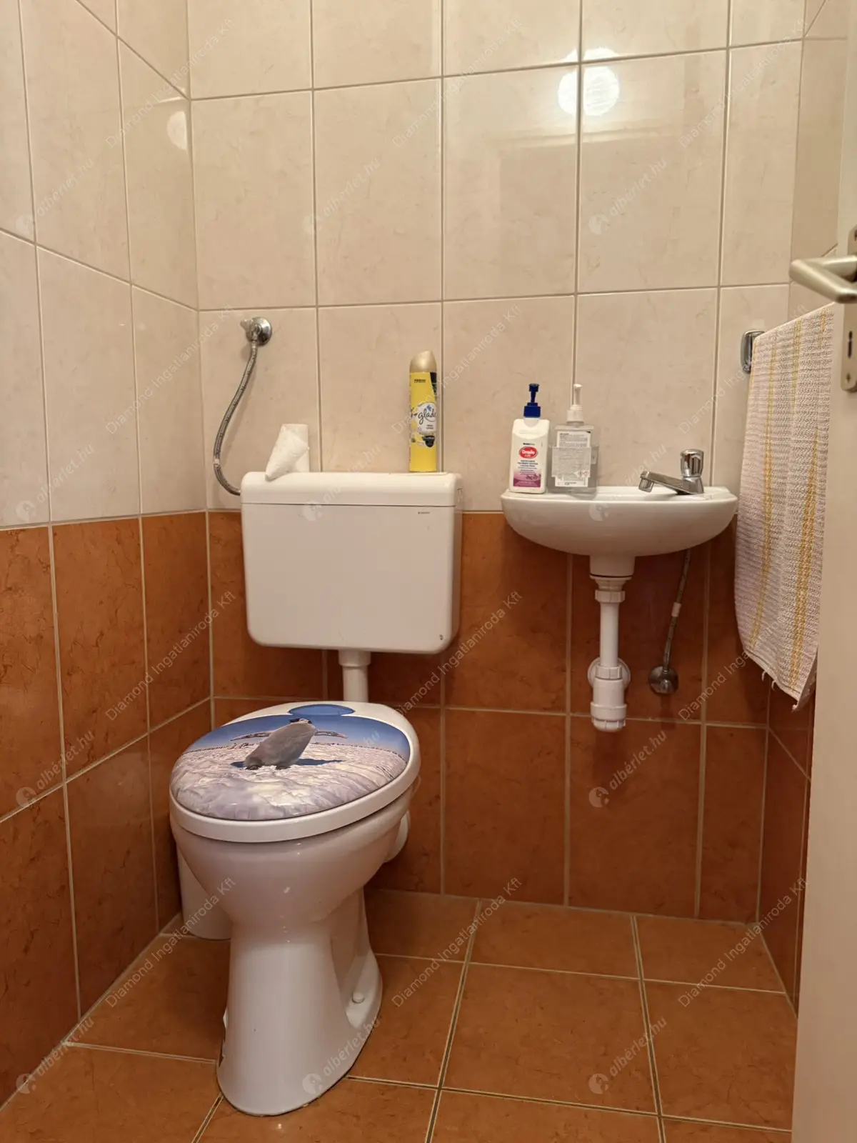 Kiadó albérlet 499000 Ft/hó áron: Budapest, XI. kerület  Solt utca. Mérete: 109 nm, 4 szobás | Alberlet.hu - 6633687