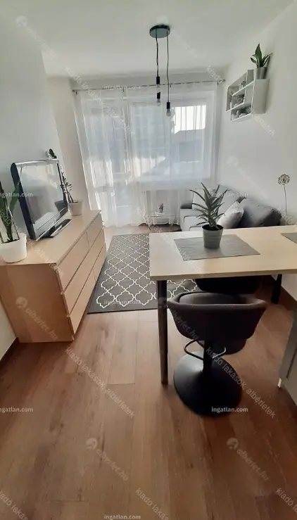 Kiadó albérlet 260000 Ft/hó áron: Budapest, XI. kerület  szerenád utca  . Mérete: 30 nm, 1 szobás | Alberlet.hu - 6647540