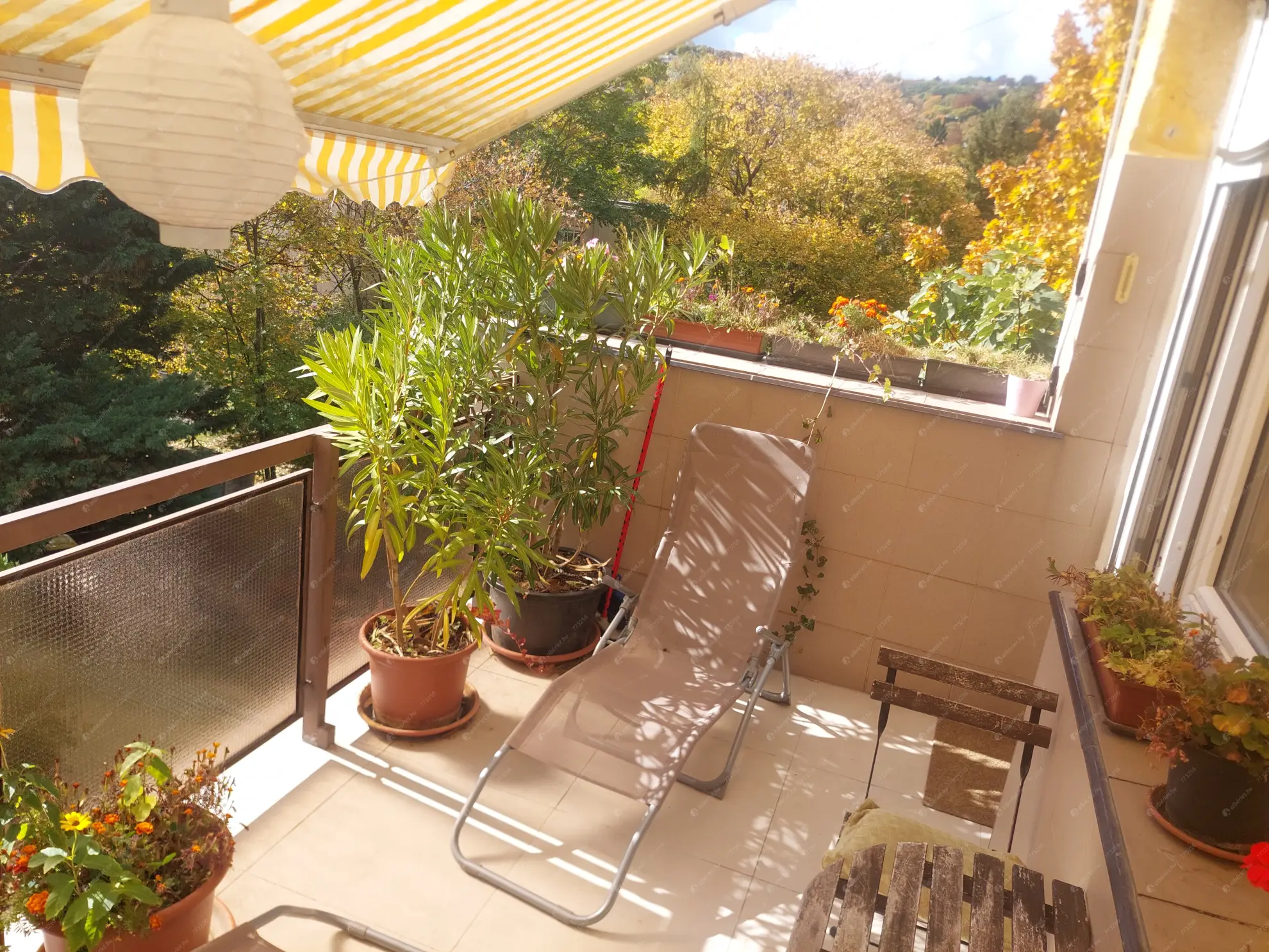 Kiadó albérlet 360000 Ft/hó áron: Budapest, XII. kerület  Abos utca. Mérete: 59 nm, 3 szobás | Alberlet.hu - 6628241