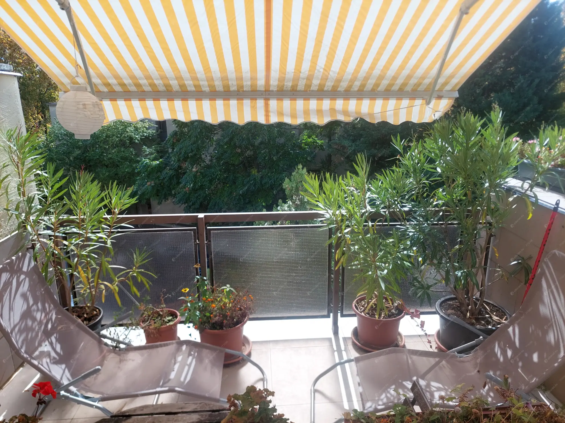 Kiadó albérlet 320000 Ft/hó áron: Budapest, XII. kerület  Abos utca. Mérete: 62 nm, 3 szobás | Alberlet.hu - 6628210