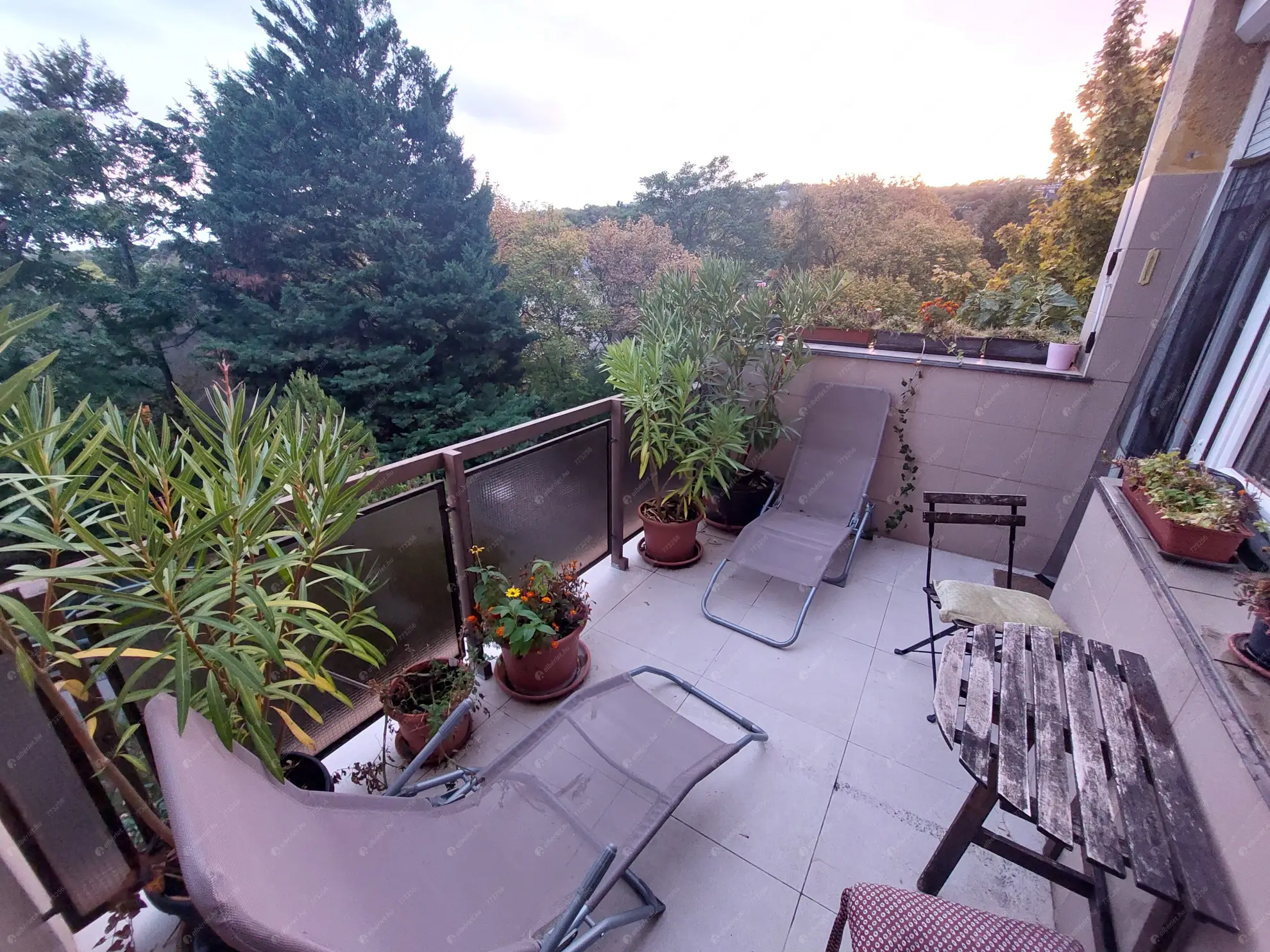 Kiadó albérlet 320000 Ft/hó áron: Budapest, XII. kerület  Abos utca. Mérete: 62 nm, 3 szobás | Alberlet.hu - 6628240