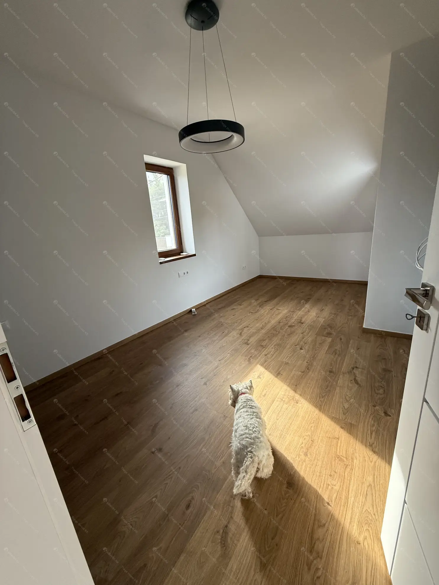 Kiadó albérlet 1400000 Ft/hó áron: Budapest, XII. kerület  Ámor utca. Mérete: 195 nm, 4 szobás | Alberlet.hu - 6571490