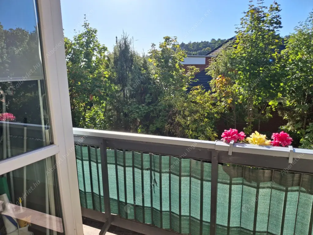 Kiadó albérlet 320000 Ft/hó áron: Budapest, XII. kerület  Csipke út. Mérete: 45 nm, 1 szobás | Alberlet.hu - 6566255