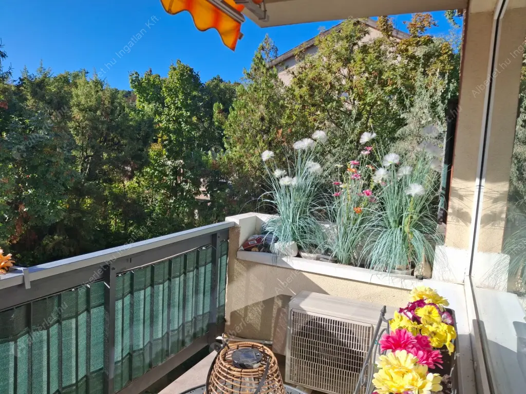 Kiadó albérlet 320000 Ft/hó áron: Budapest, XII. kerület  Csipke út. Mérete: 45 nm, 1 szobás | Alberlet.hu - 6566256