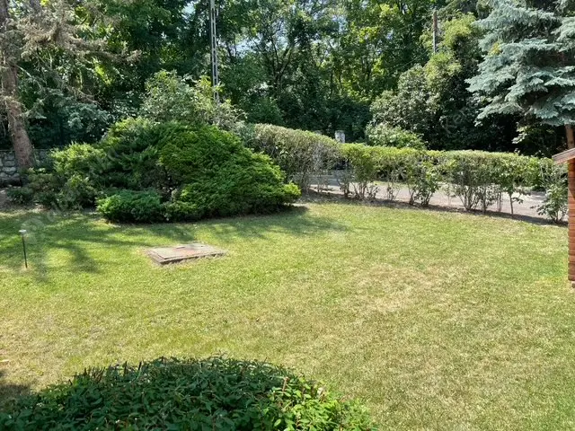 Kiadó albérlet 964000 Ft/hó áron: Budapest, XII. kerület  Csipke utca. Mérete: 300 nm, 6 szobás | Alberlet.hu - 6491722