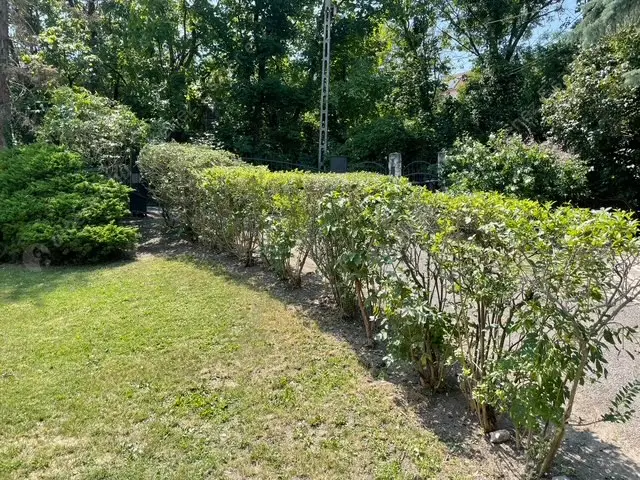 Kiadó albérlet 964000 Ft/hó áron: Budapest, XII. kerület  Csipke utca. Mérete: 300 nm, 6 szobás | Alberlet.hu - 6491723