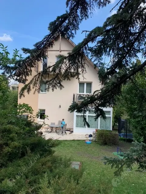 Kiadó albérlet 964000 Ft/hó áron: Budapest, XII. kerület  Csipke utca. Mérete: 300 nm, 6 szobás | Alberlet.hu - 6491739