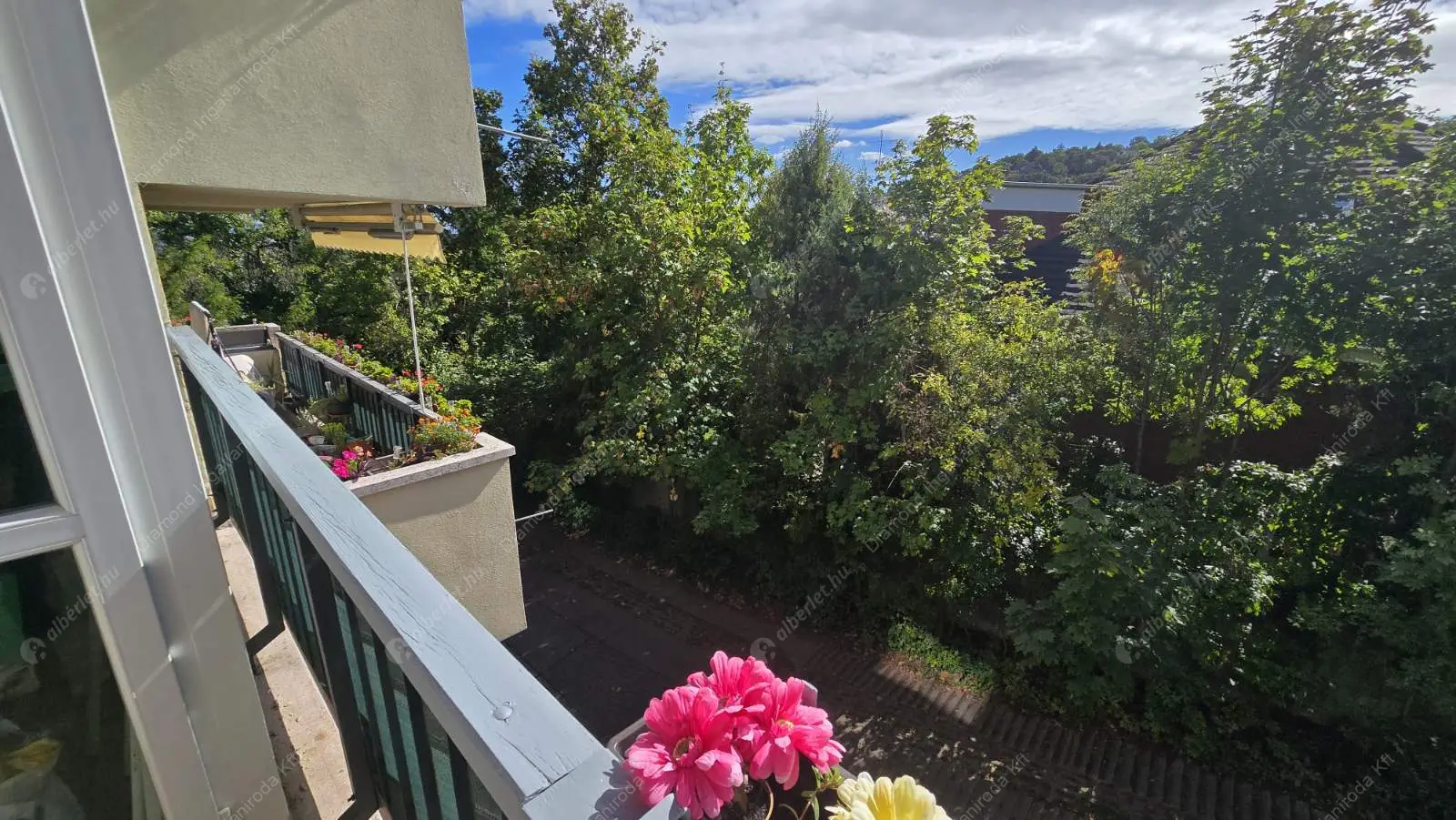 Kiadó albérlet 320000 Ft/hó áron: Budapest, XII. kerület  Csipke utca. Mérete: 45 nm, 1 szobás | Alberlet.hu - 6543775