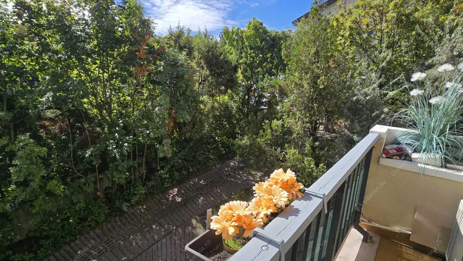 Kiadó albérlet 320000 Ft/hó áron: Budapest, XII. kerület  Csipke utca. Mérete: 45 nm, 1 szobás | Alberlet.hu - 6543799