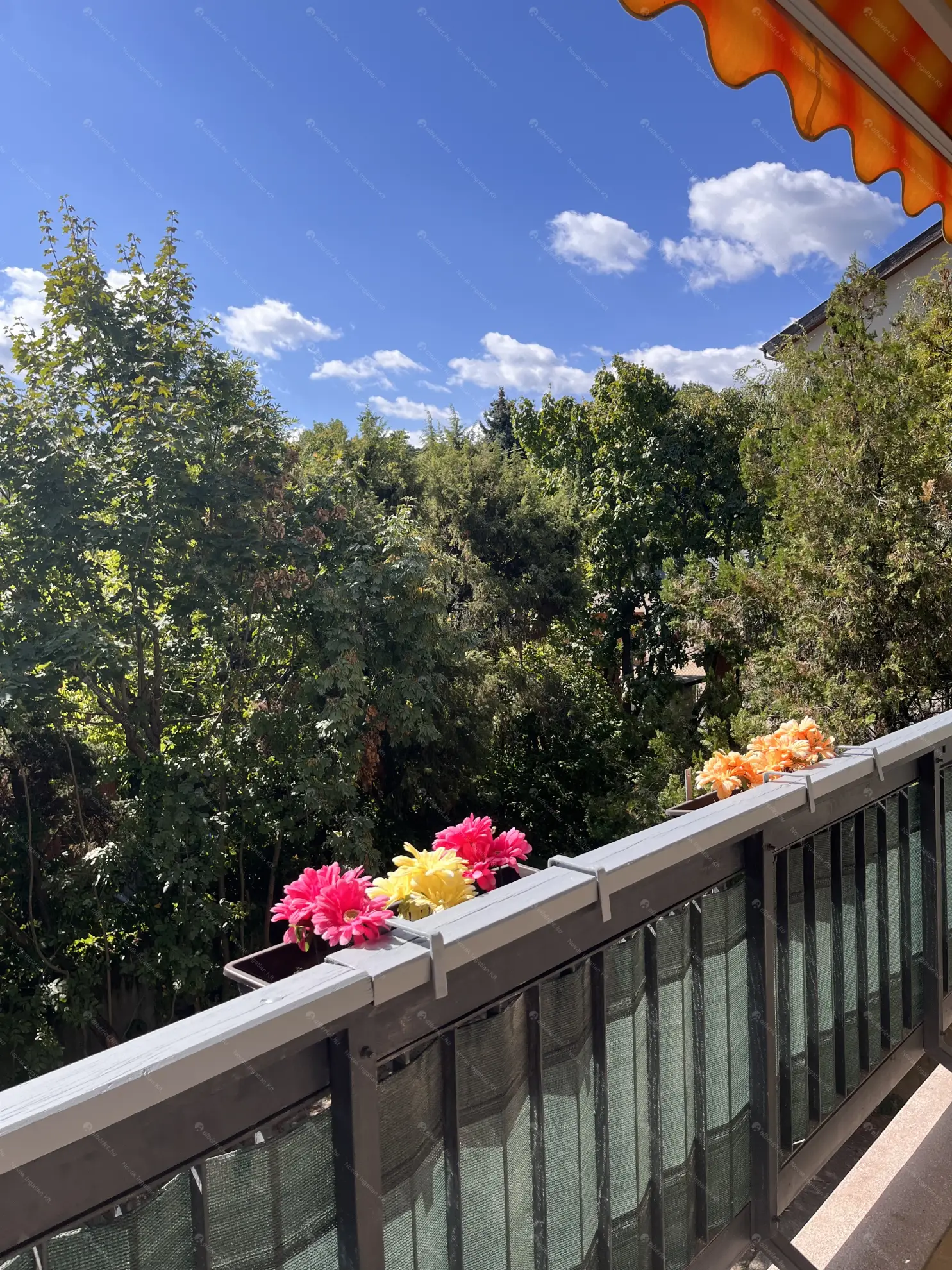 Kiadó albérlet 345000 Ft/hó áron: Budapest, XII. kerület  Csipke utca. Mérete: 45 nm, 1 szobás | Alberlet.hu - 6545665