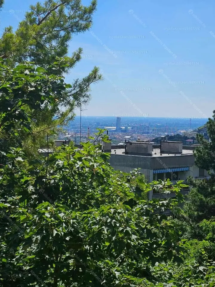 Kiadó albérlet 330000 Ft/hó áron: Budapest, XII. kerület  Csorna utca. Mérete: 62 nm, 2 szobás | Alberlet.hu - 6679573