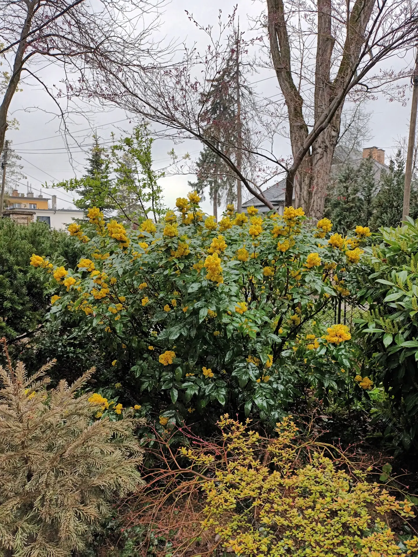 Kiadó albérlet 230000 Ft/hó áron: Budapest, XII. kerület  Dániel út. Mérete: 50 nm, 1 szobás | Alberlet.hu - 6531882