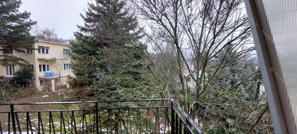 Kiadó albérlet 320000 Ft/hó áron: Budapest, XII. kerület  Dániel út. Mérete: 60 nm, 2 szobás | Alberlet.hu - 6647316