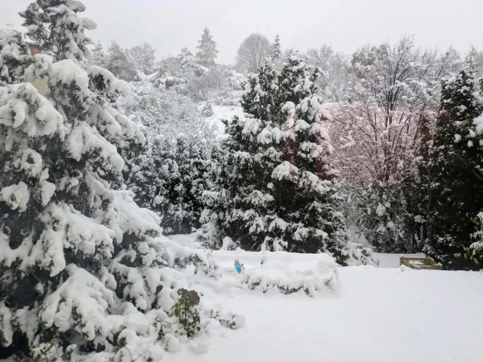 Kiadó albérlet 500000 Ft/hó áron: Budapest, XII. kerület  Denevér út. Mérete: 83 nm, 3 szobás | Alberlet.hu - 6678133