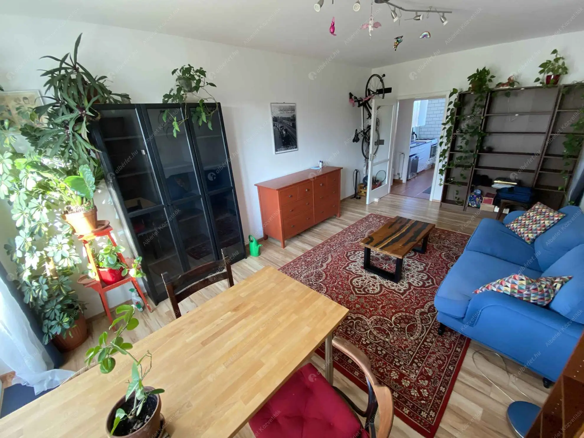 Kiadó albérlet 250000 Ft/hó áron: Budapest, XII. kerület  Fülemile út. Mérete: 65 nm, 2 szobás | Alberlet.hu - 6604793