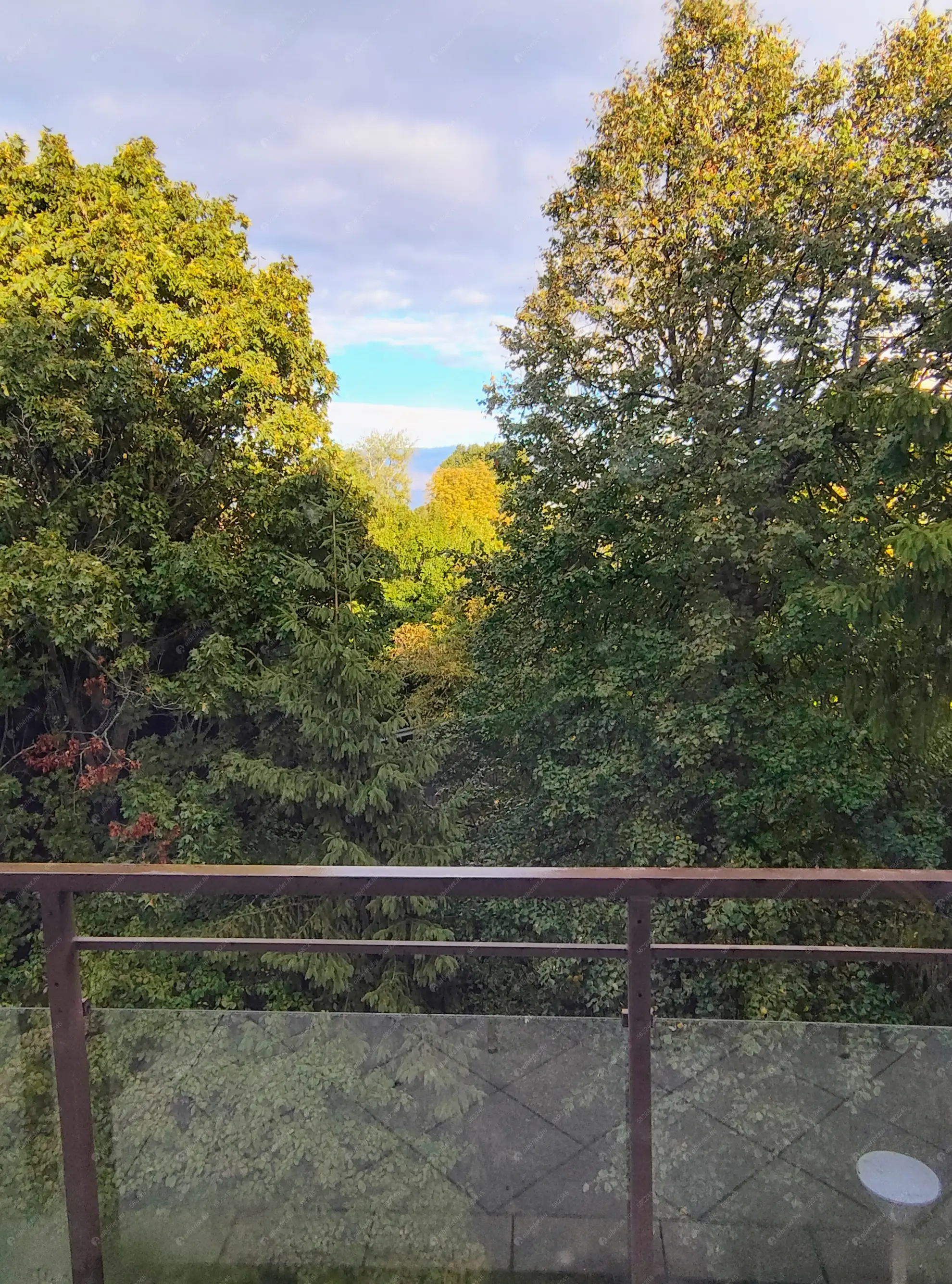 Kiadó albérlet 260000 Ft/hó áron: Budapest, XII. kerület  Fülemile út. Mérete: 66 nm, 2 szobás | Alberlet.hu - 6609521