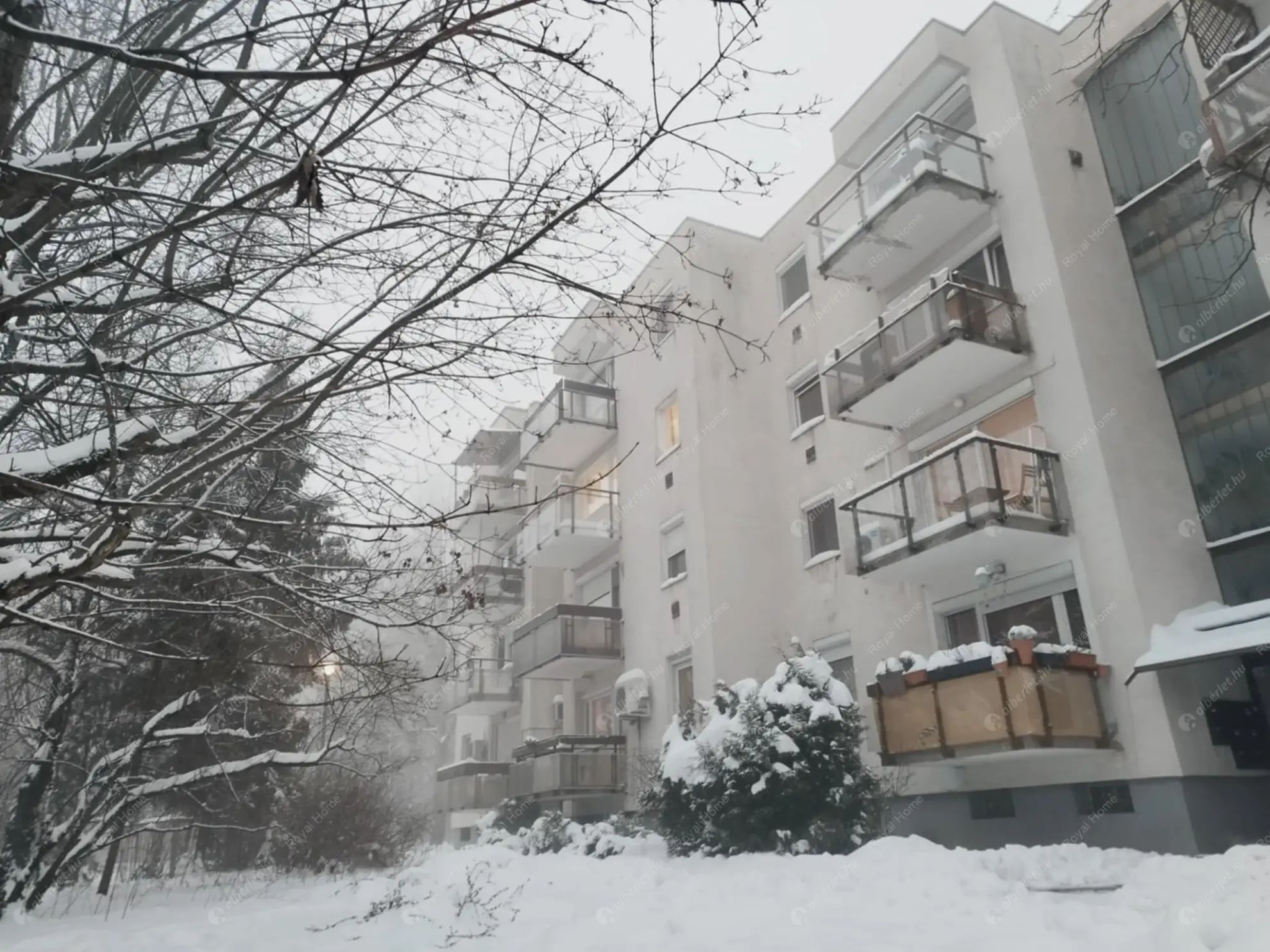 Kiadó albérlet 259000 Ft/hó áron: Budapest, XII. kerület  Fülemile út. Mérete: 70 nm, 3 szobás | Alberlet.hu - 6619549