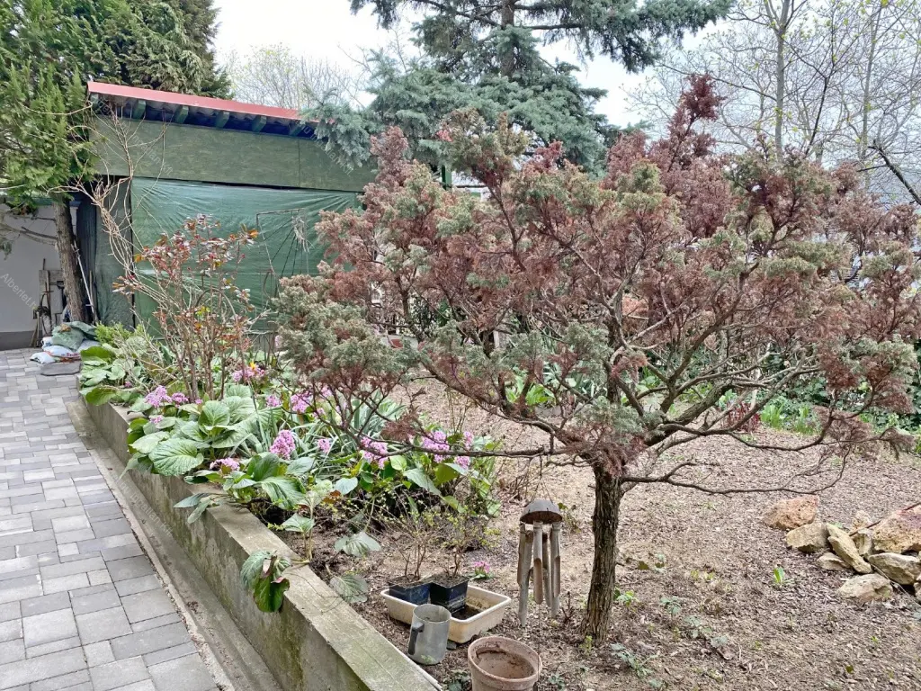 Kiadó albérlet 160000 Ft/hó áron: Budapest, XII. kerület  Gyimes utca. Mérete: 32 nm, 1 szobás | Alberlet.hu - 6684748