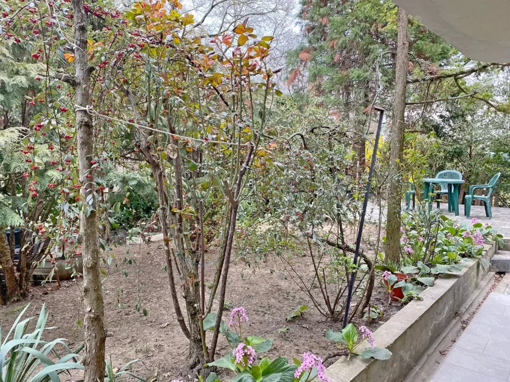 Kiadó albérlet 160000 Ft/hó áron: Budapest, XII. kerület  Gyimes utca. Mérete: 32 nm, 1 szobás | Alberlet.hu - 6684749