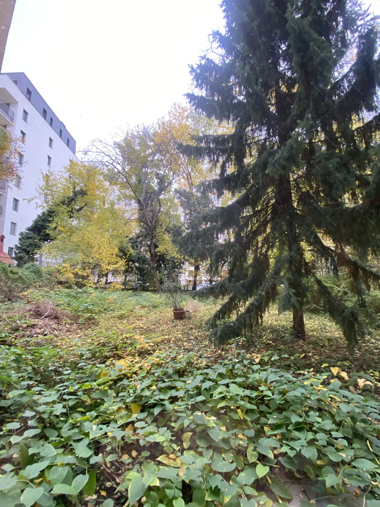 Kiadó albérlet 185000 Ft/hó áron: Budapest, XII. kerület  Hollósy Simon utca. Mérete: 29 nm, 1 szobás | Alberlet.hu - 6571979