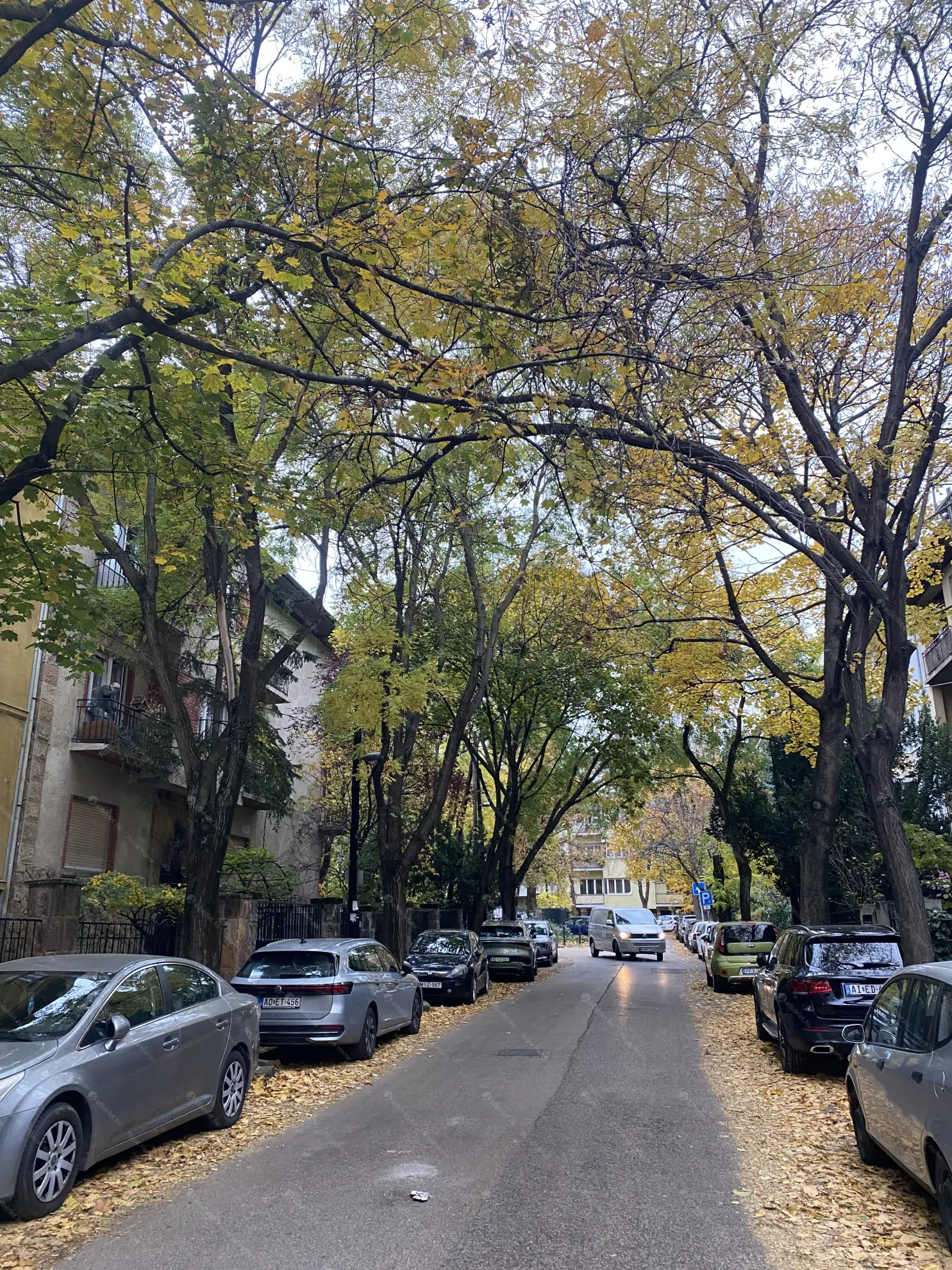 Kiadó albérlet 185000 Ft/hó áron: Budapest, XII. kerület  Hollósy Simon utca. Mérete: 29 nm, 1 szobás | Alberlet.hu - 6571980