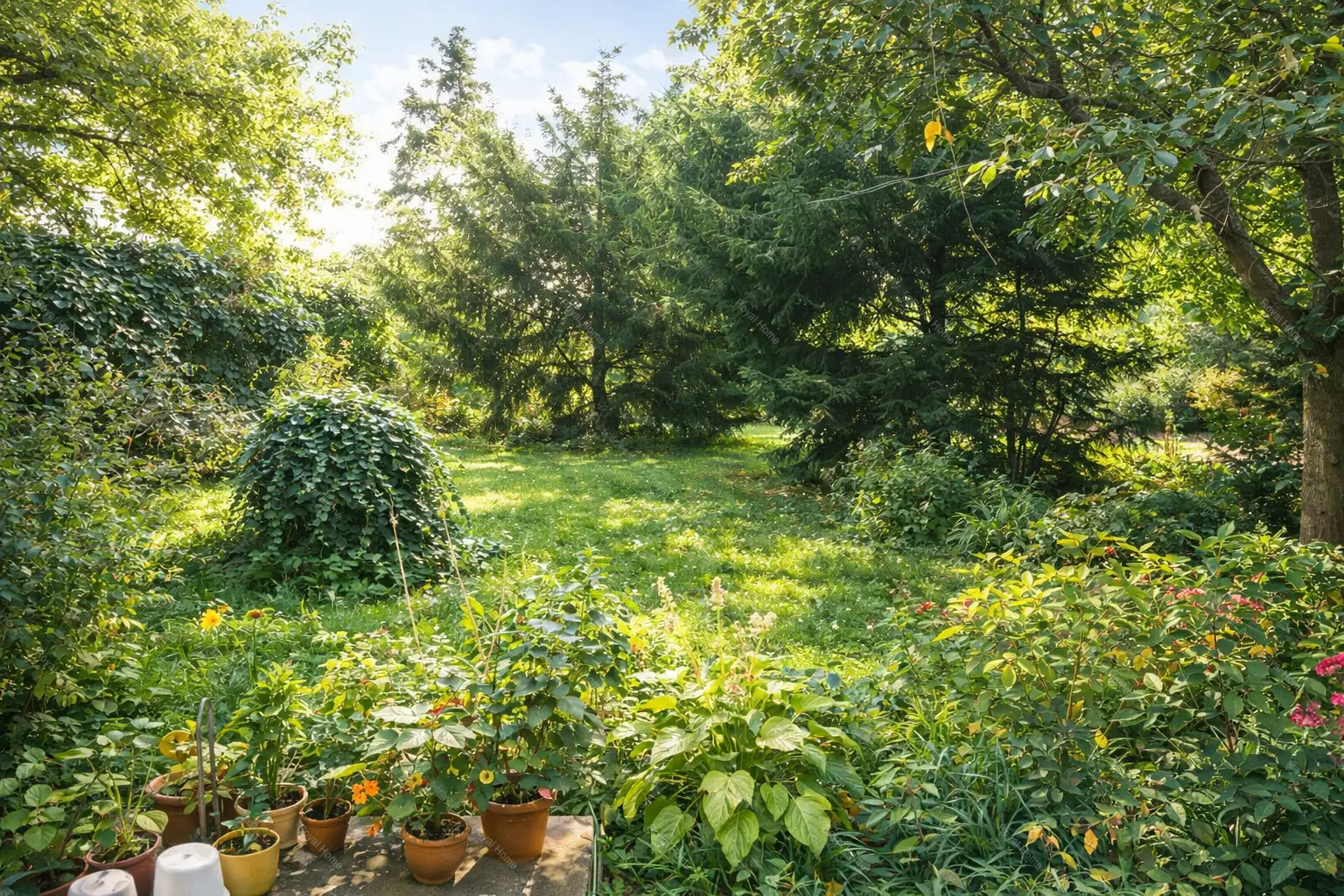 Kiadó albérlet 180000 Ft/hó áron: Budapest, XII. kerület  Hollósy Simon utca. Mérete: 33 nm, 1 szobás | Alberlet.hu - 6655984
