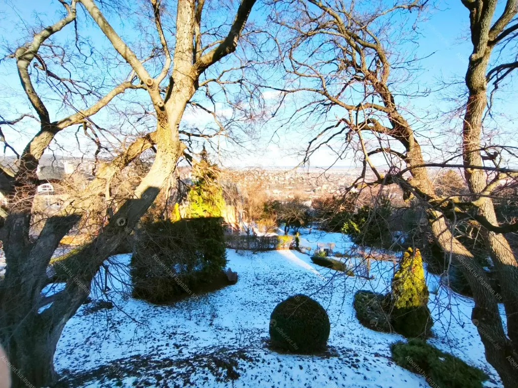 Kiadó albérlet 420000 Ft/hó áron: Budapest, XII. kerület  Istenhegyi út. Mérete: 110 nm, 3 szobás | Alberlet.hu - 6648805