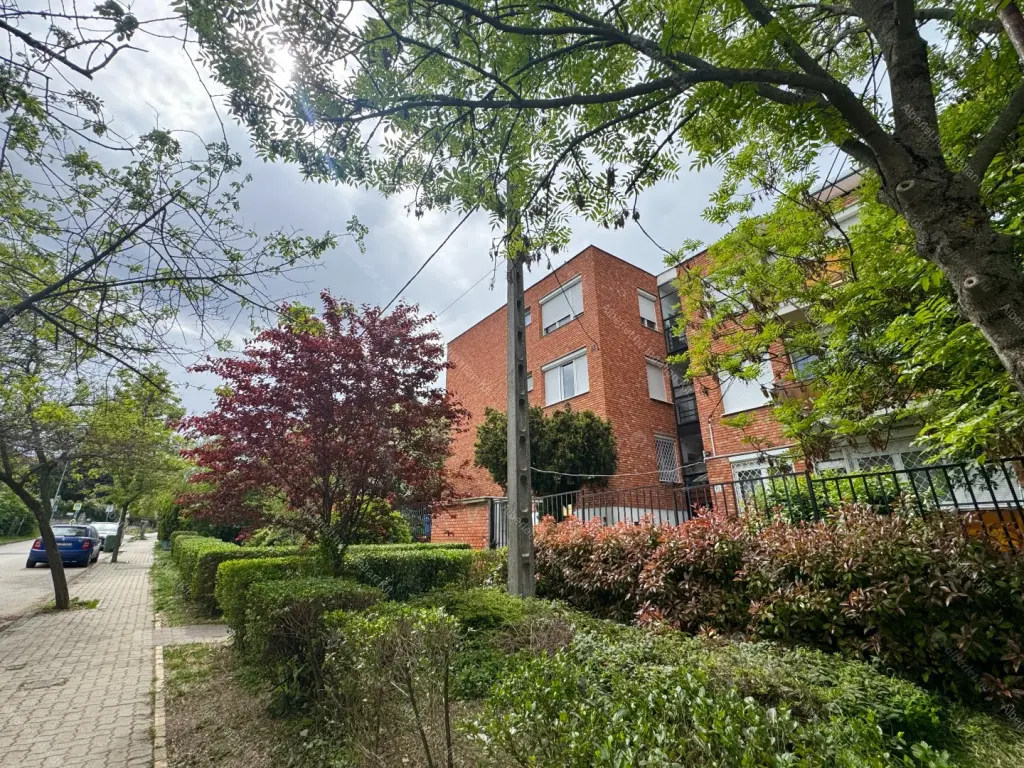 Kiadó albérlet 310000 Ft/hó áron: Budapest, XII. kerület  Lejtő út. Mérete: 63 nm, 3 szobás | Alberlet.hu - 6704362