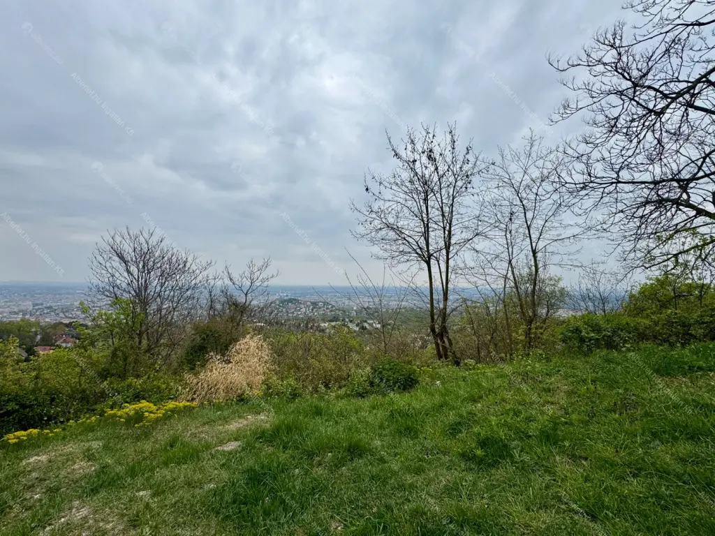 Kiadó albérlet 120000 Ft/hó áron: Budapest, XII. kerület  Melinda út. Mérete: 8 nm, 1 szobás | Alberlet.hu - 6698408