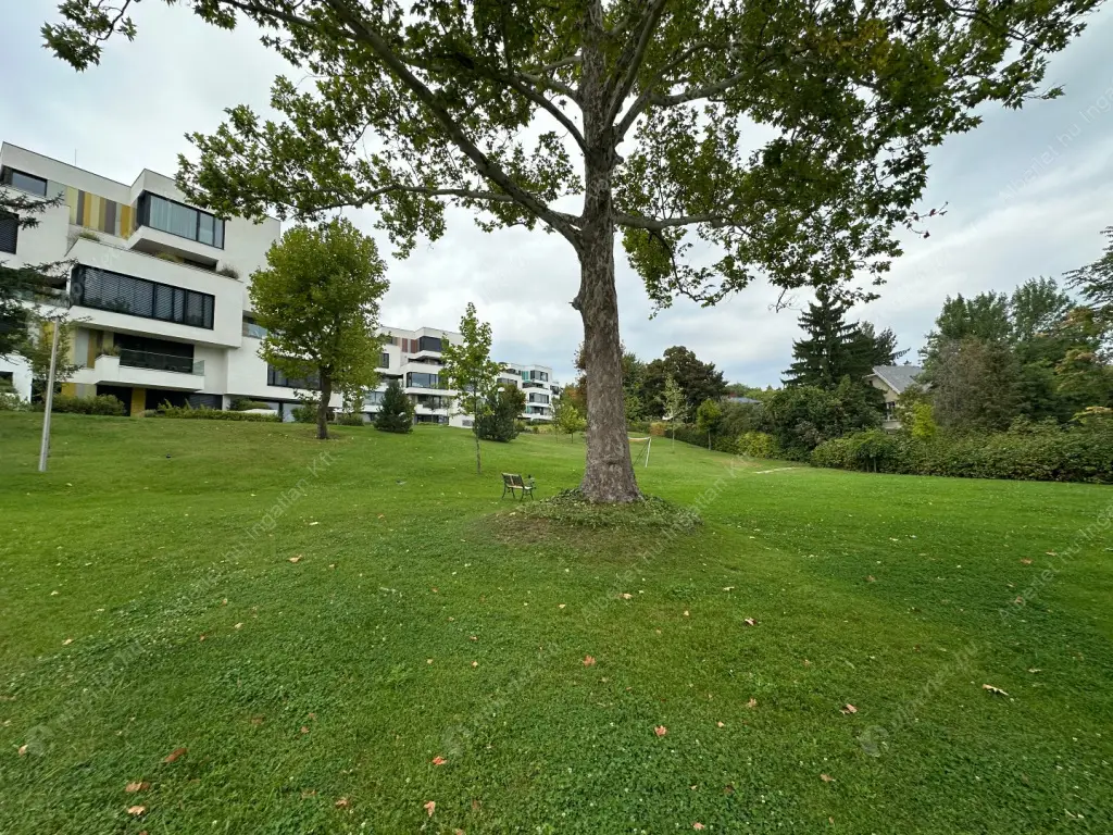 Kiadó albérlet 690000 Ft/hó áron: Budapest, XII. kerület  Németvölgyi út. Mérete: 72 nm, 3 szobás | Alberlet.hu - 6541330