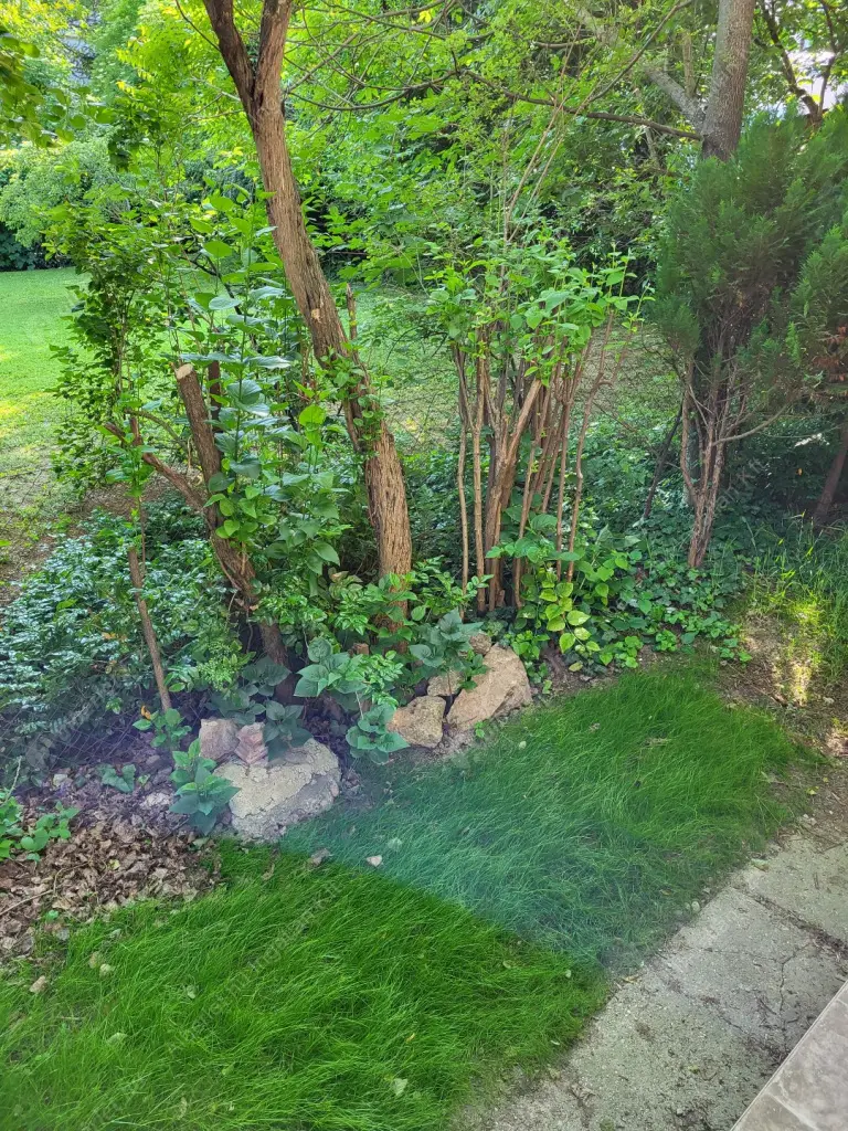 Kiadó albérlet 420000 Ft/hó áron: Budapest, XII. kerület  Orbánhegyi út. Mérete: 68 nm, 2 szobás | Alberlet.hu - 6624190