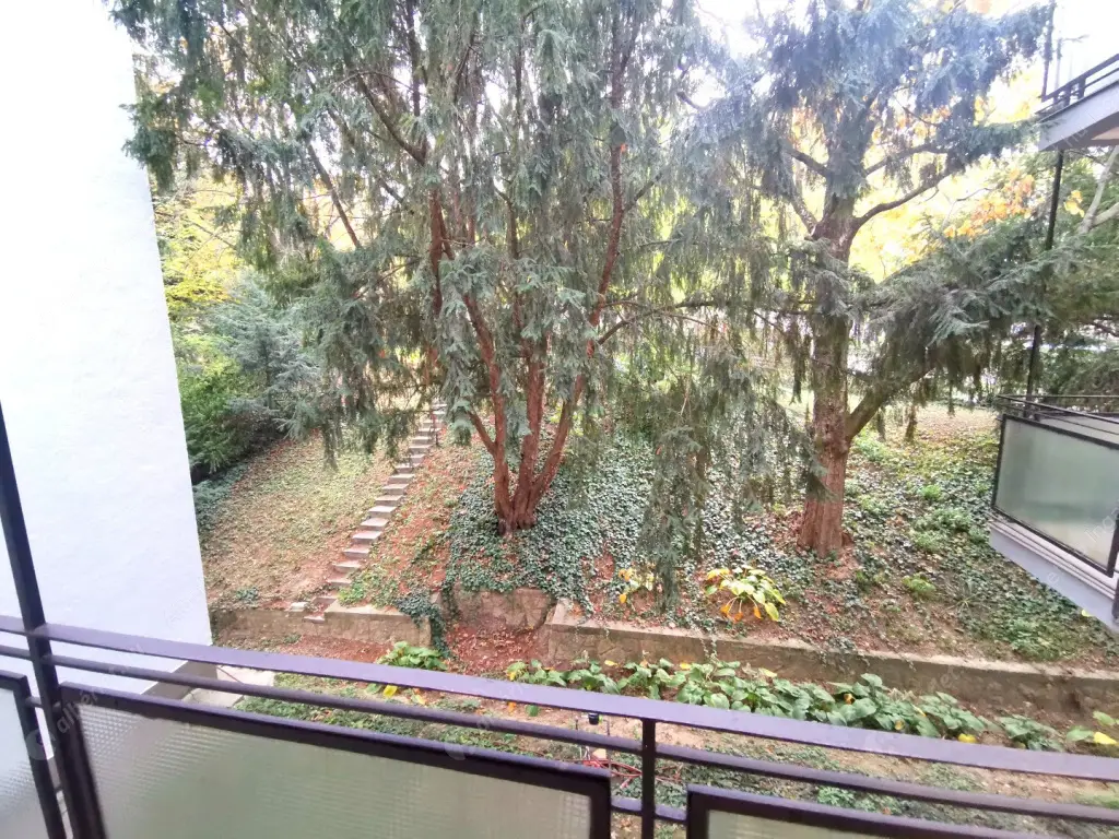 Kiadó albérlet 250000 Ft/hó áron: Budapest, XII. kerület  Ráth György utca. Mérete: 55 nm, 2 szobás | Alberlet.hu - 6562439