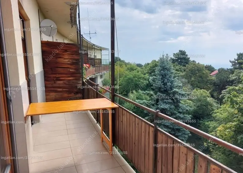 Kiadó albérlet 295000 Ft/hó áron: Budapest, XII. kerület  Rege út. Mérete: 60 nm, 2 szobás | Alberlet.hu - 6634605