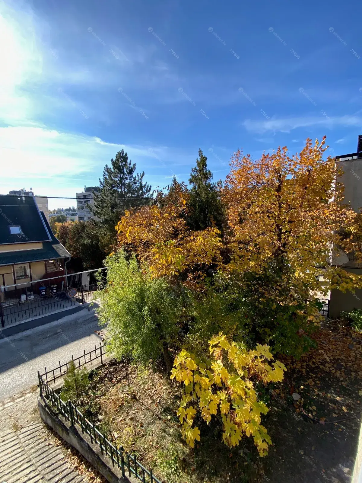 Kiadó albérlet 330000 Ft/hó áron: Budapest, XII. kerület  Sólyom utca. Mérete: 65 nm, 2 szobás | Alberlet.hu - 6671898