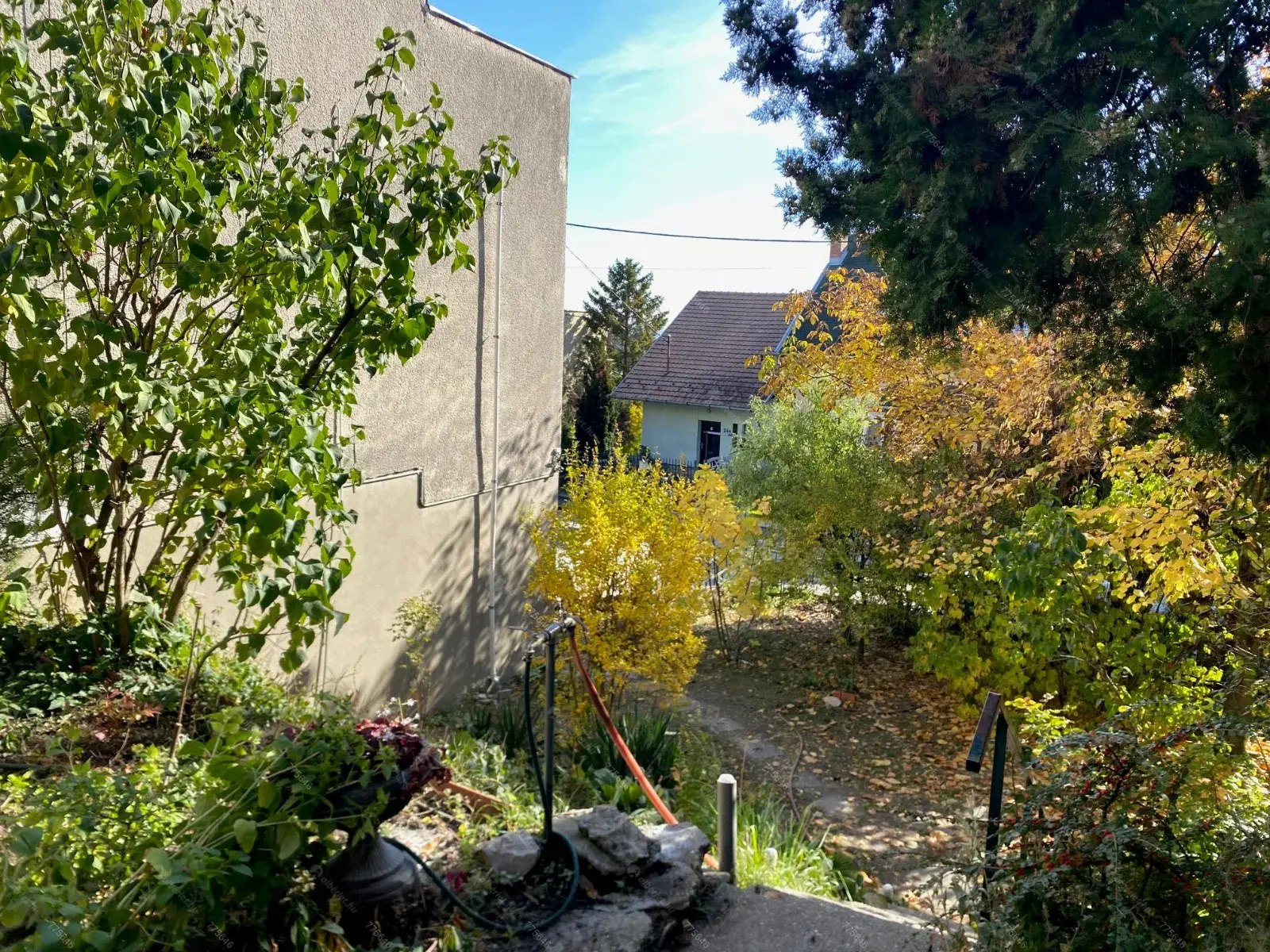 Kiadó albérlet 330000 Ft/hó áron: Budapest, XII. kerület  Sólyom utca. Mérete: 65 nm, 2 szobás | Alberlet.hu - 6671899