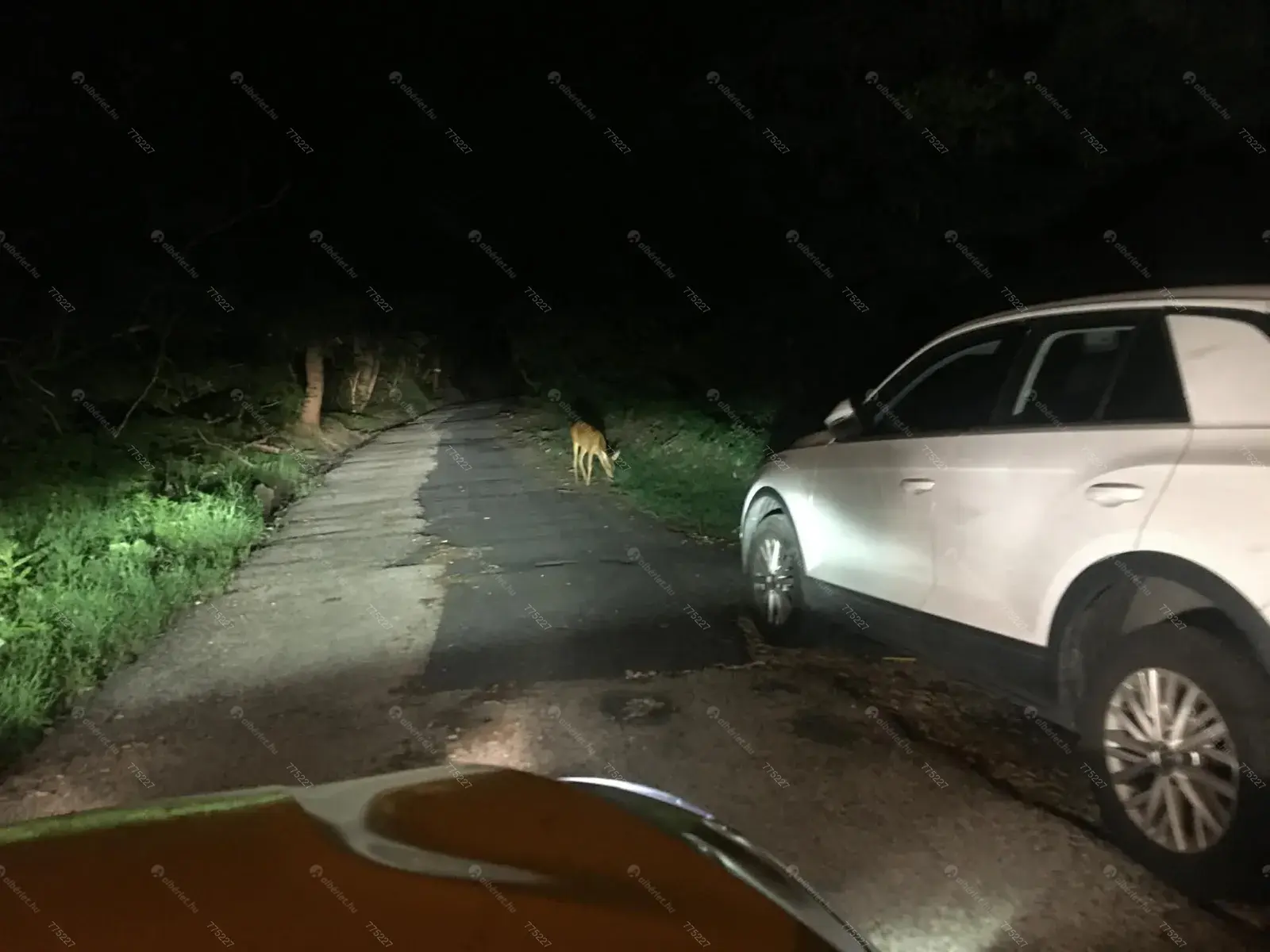 Kiadó albérlet 270000 Ft/hó áron: Budapest, XII. kerület  Szilassy út. Mérete: 47 nm, 2 szobás | Alberlet.hu - 6668814