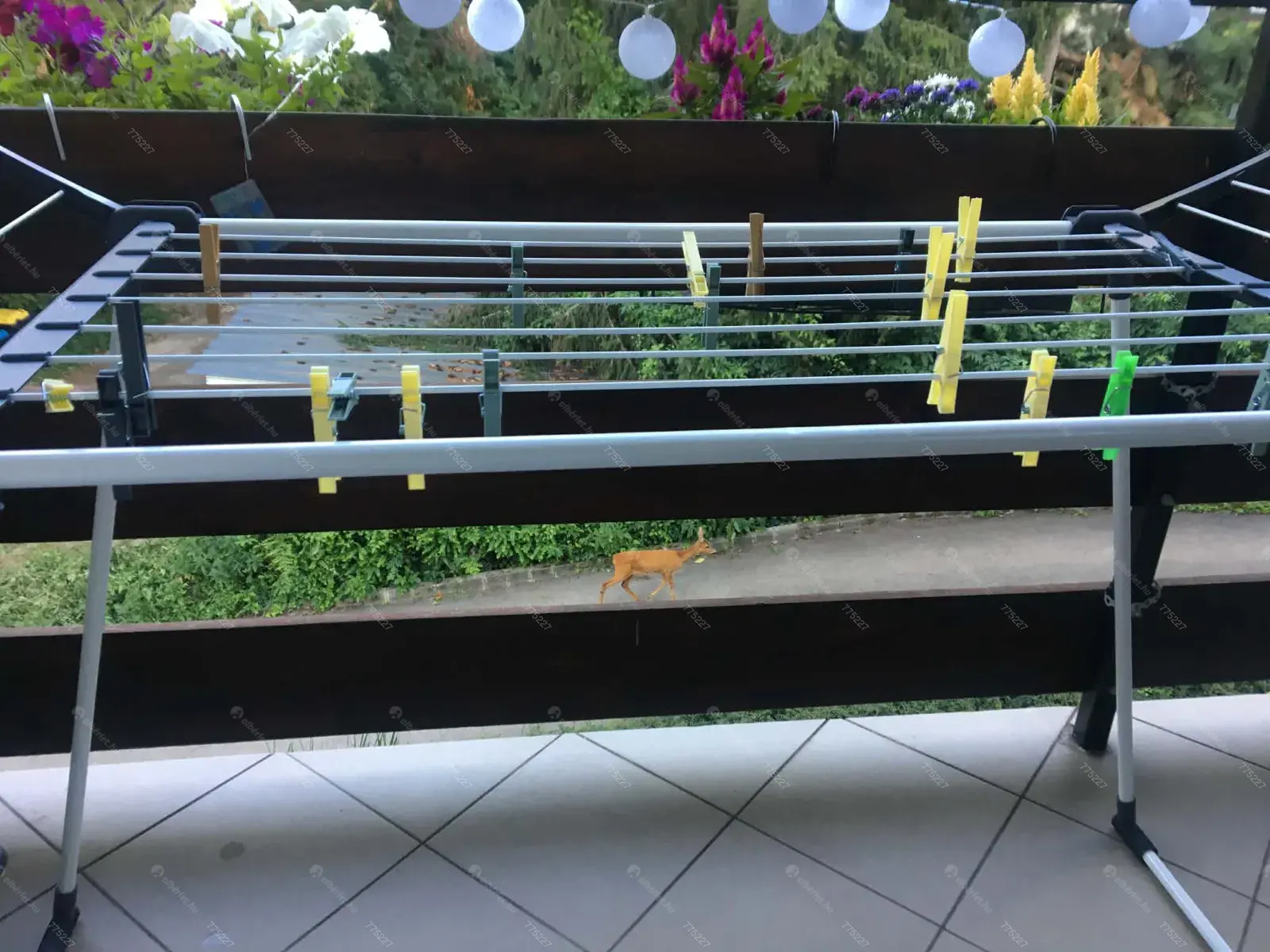 Kiadó albérlet 270000 Ft/hó áron: Budapest, XII. kerület  Szilassy út. Mérete: 47 nm, 2 szobás | Alberlet.hu - 6668816